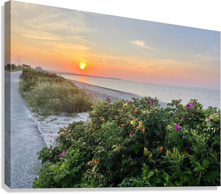 2380424 :: Giclée Stretched Canvas Print