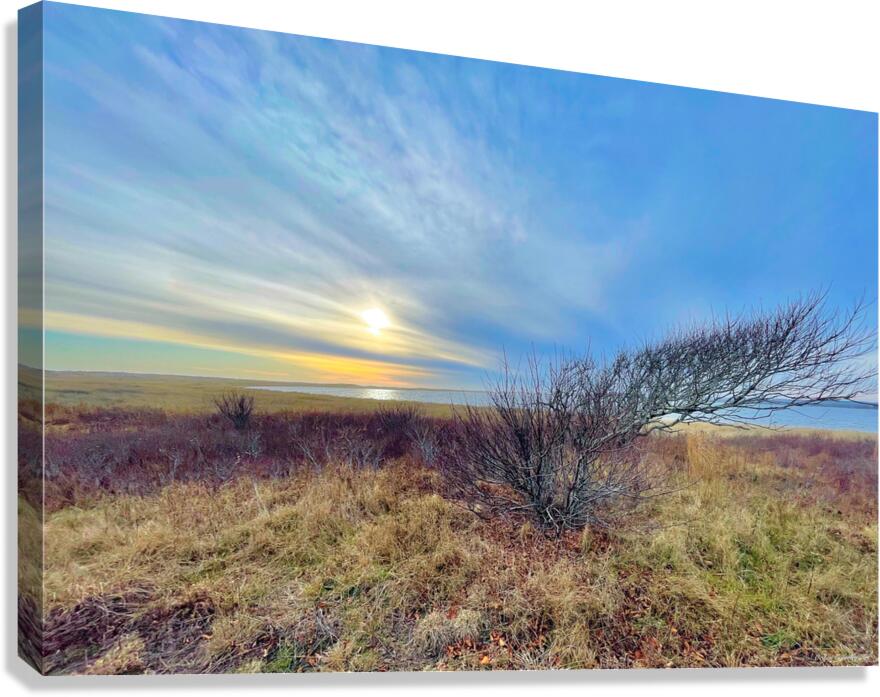 2385246 :: Giclée Stretched Canvas Print