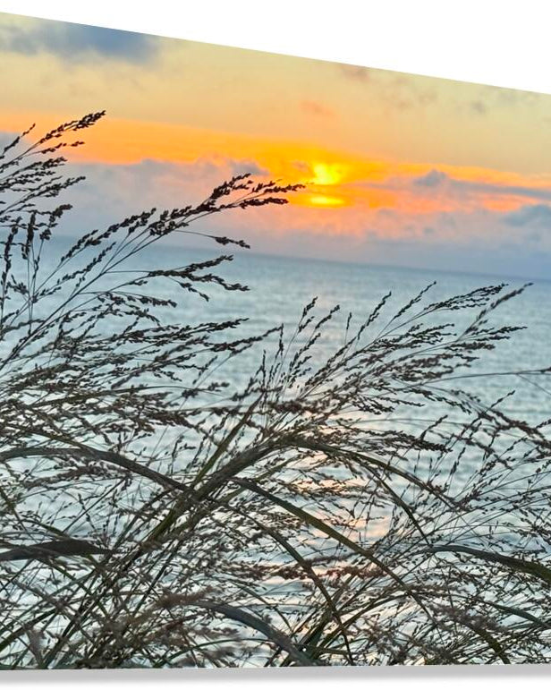 2454512 :: Giclée Stretched Canvas Print