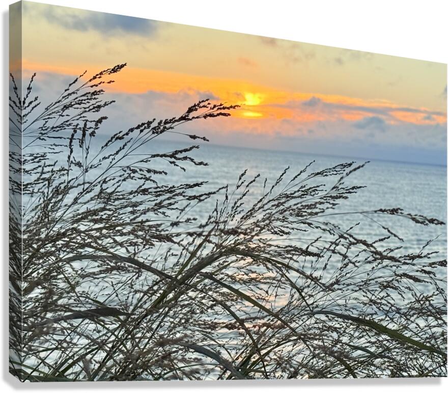 2454512 :: Giclée Stretched Canvas Print