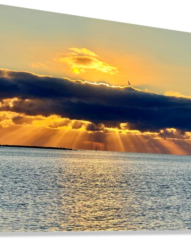 2472539 :: Giclée Stretched Canvas Print