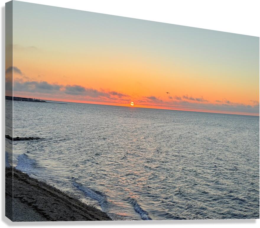 2472545 :: Giclée Stretched Canvas Print