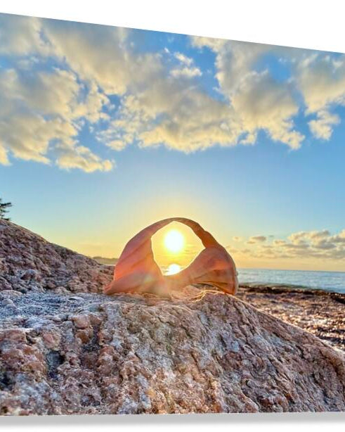 2473990 :: Giclée Stretched Canvas Print