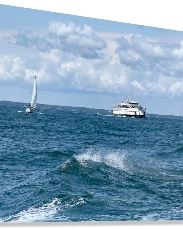 2473998 :: Giclée Stretched Canvas Print