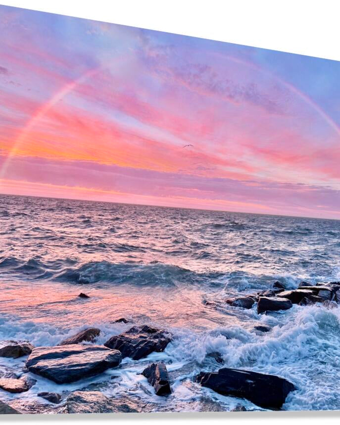 2479245 :: Giclée Stretched Canvas Print