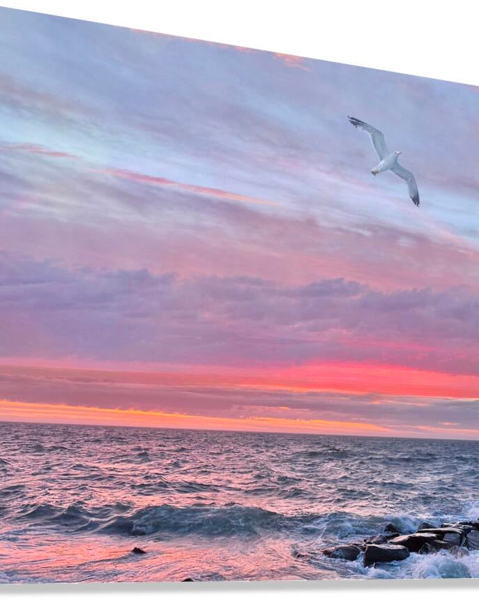 2479252 :: Giclée Stretched Canvas Print