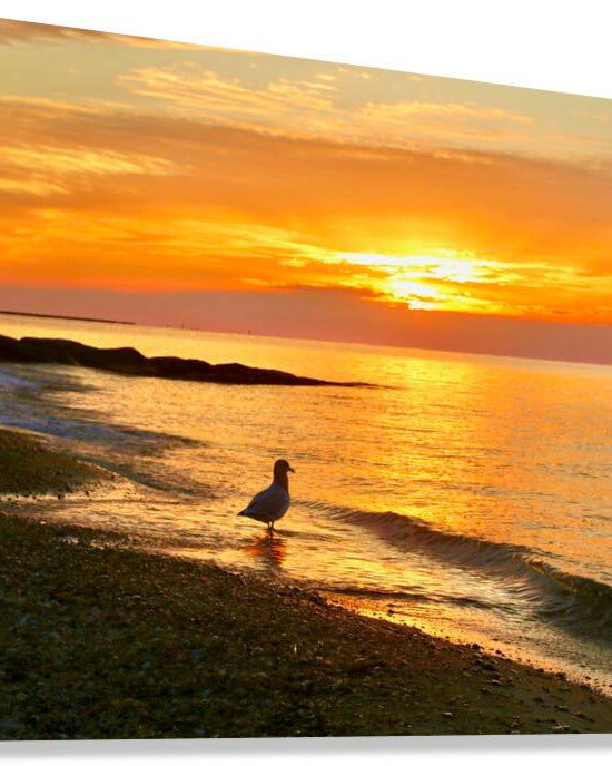 2483297 :: Giclée Stretched Canvas Print