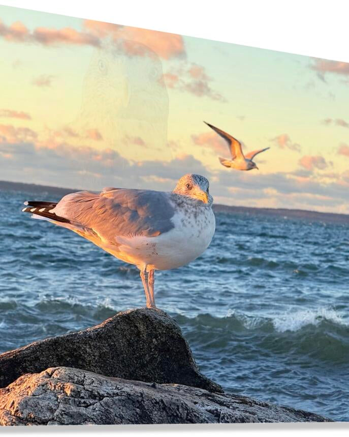 2486004 :: Giclée Stretched Canvas Print