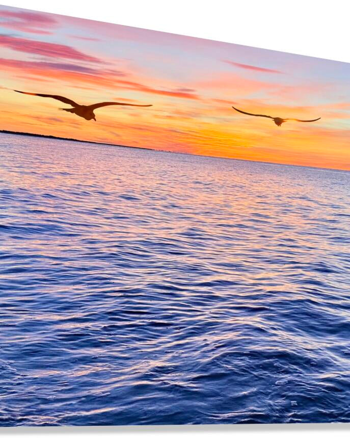 2487268 :: Giclée Stretched Canvas Print