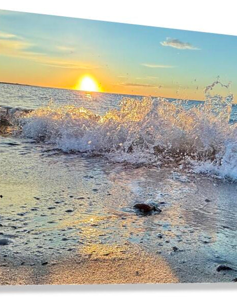 2488700 :: Giclée Stretched Canvas Print