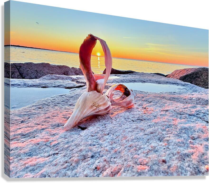 2489643 :: Giclée Stretched Canvas Print