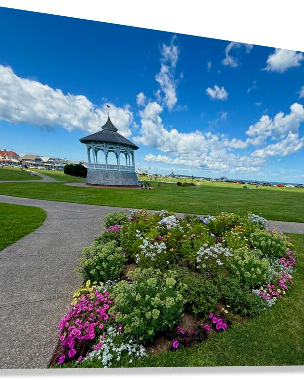 2497694 :: Giclée Stretched Canvas Print