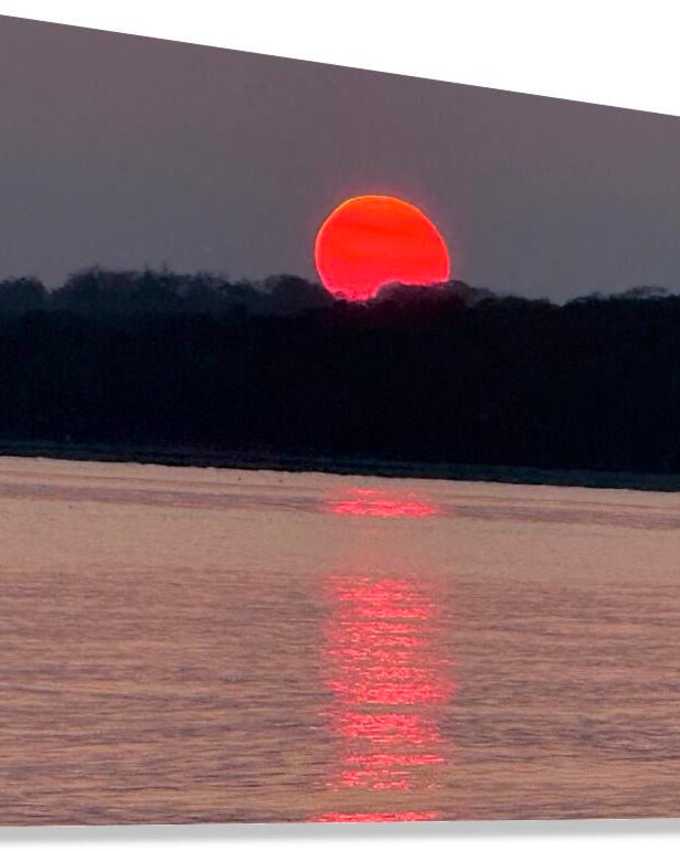 2498023 :: Giclée Stretched Canvas Print