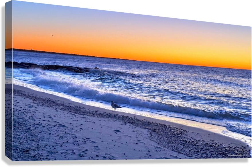 2498129 :: Giclée Stretched Canvas Print