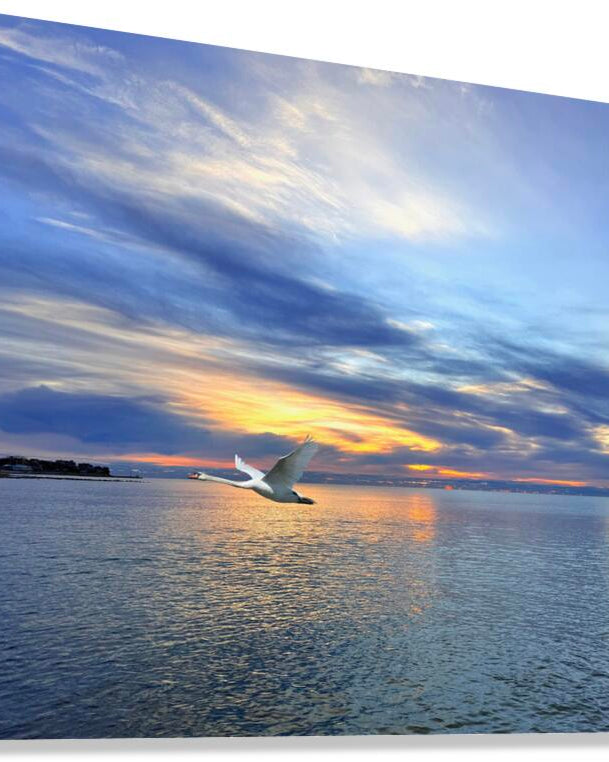 2498574 :: Giclée Stretched Canvas Print