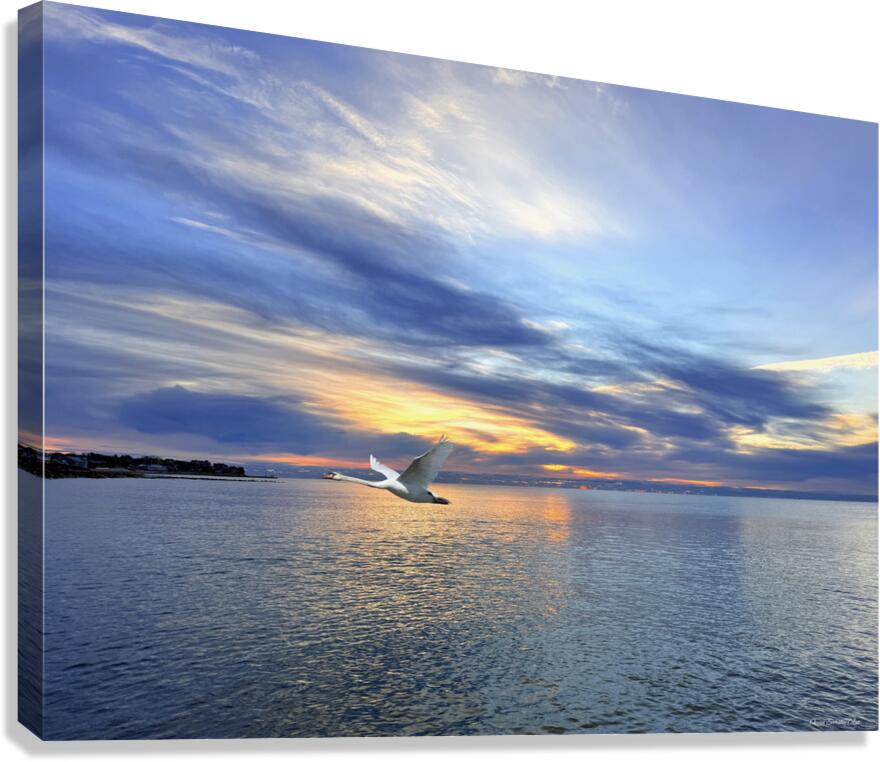 2498574 :: Giclée Stretched Canvas Print