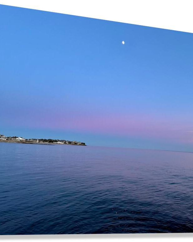 2503447 :: Giclée Stretched Canvas Print