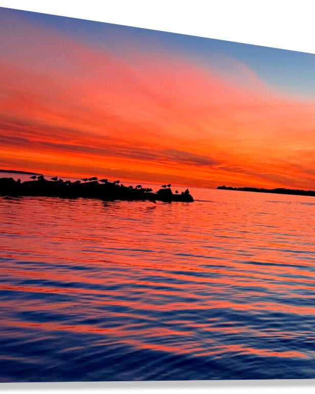 2503694 :: Giclée Stretched Canvas Print