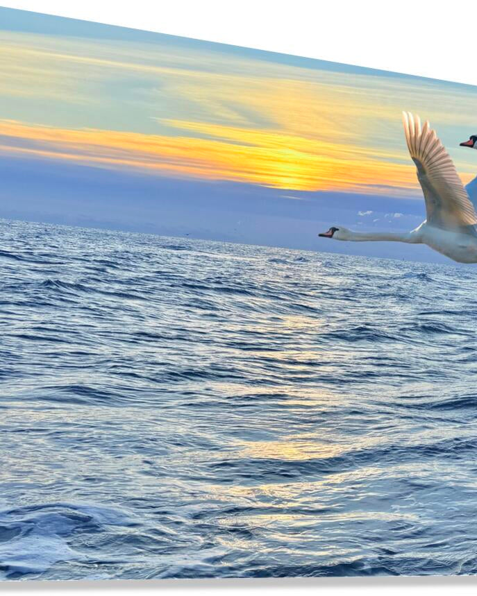 2503734 :: Giclée Stretched Canvas Print