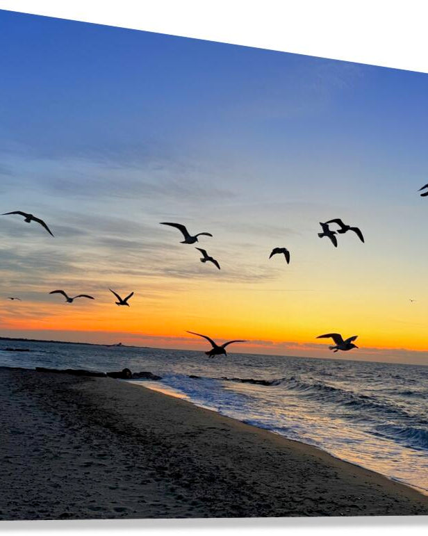 2505539 :: Giclée Stretched Canvas Print