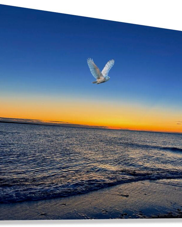 2507586 :: Giclée Stretched Canvas Print