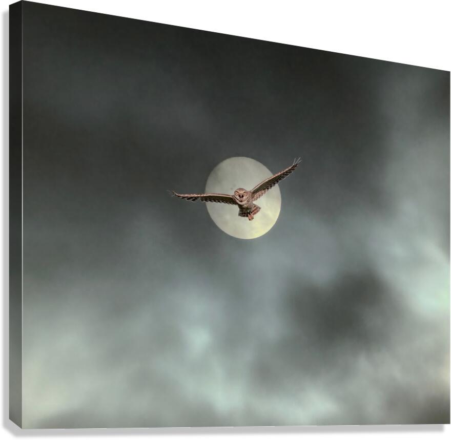 2508362 :: Giclée Stretched Canvas Print