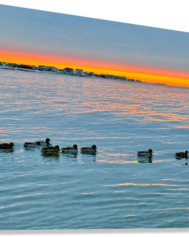 2511936 :: Giclée Stretched Canvas Print