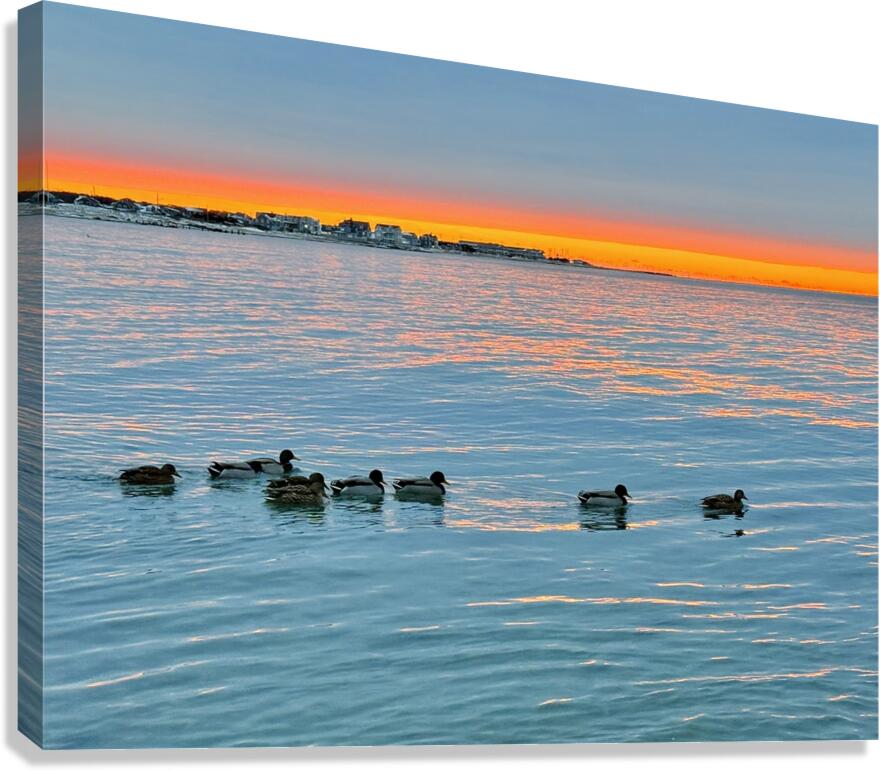 2511936 :: Giclée Stretched Canvas Print