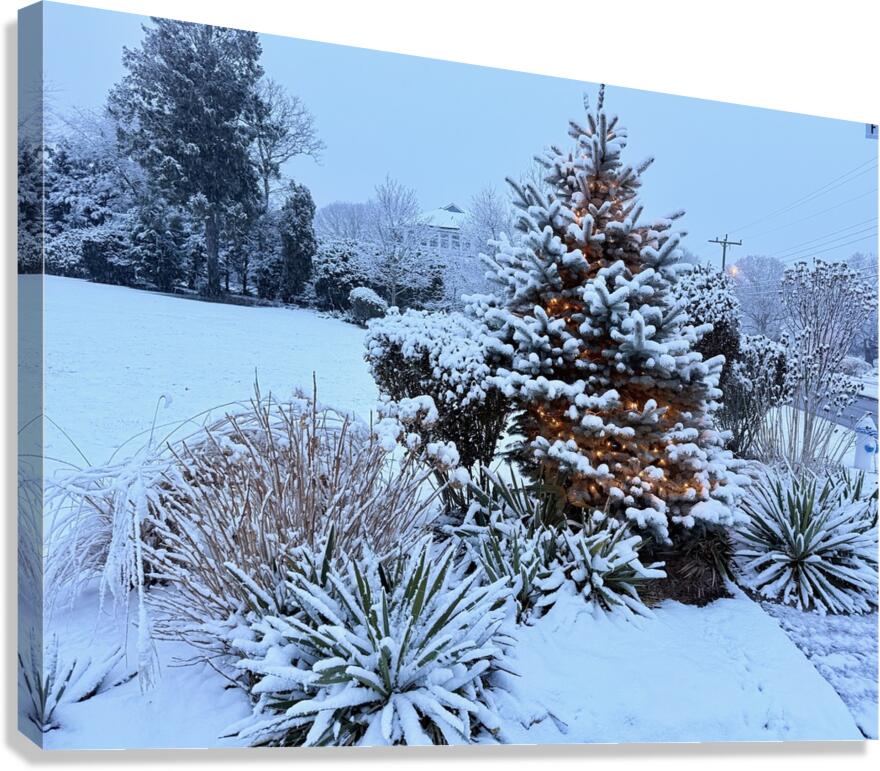 2511983 :: Giclée Stretched Canvas Print