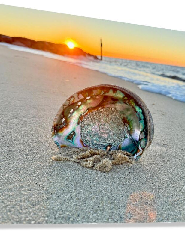 2516197 :: Giclée Stretched Canvas Print