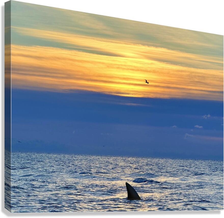 2516210 :: Giclée Stretched Canvas Print