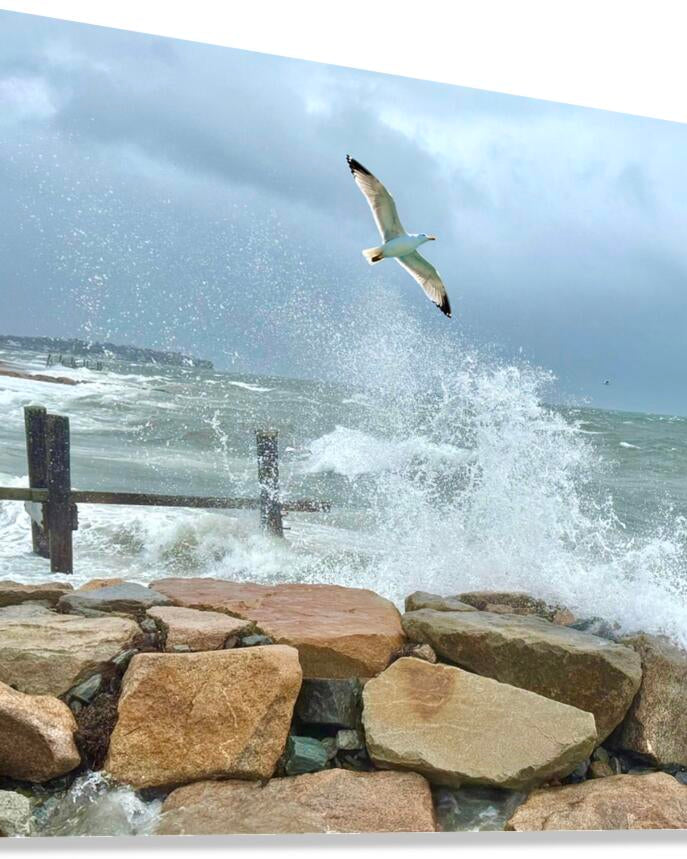 2516245 :: Giclée Stretched Canvas Print