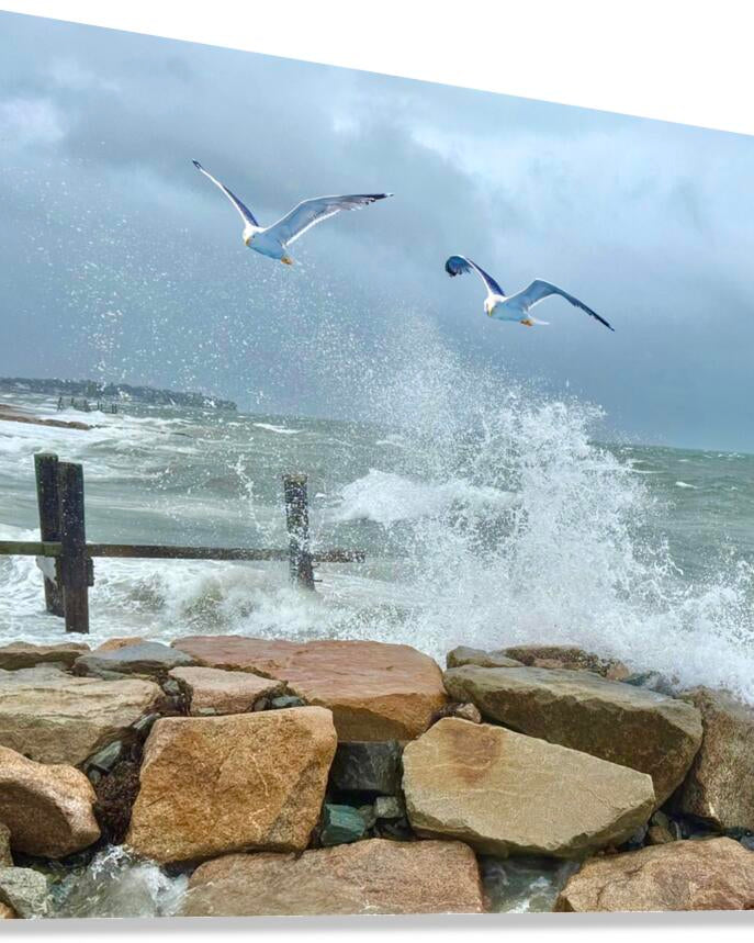 2516246 :: Giclée Stretched Canvas Print