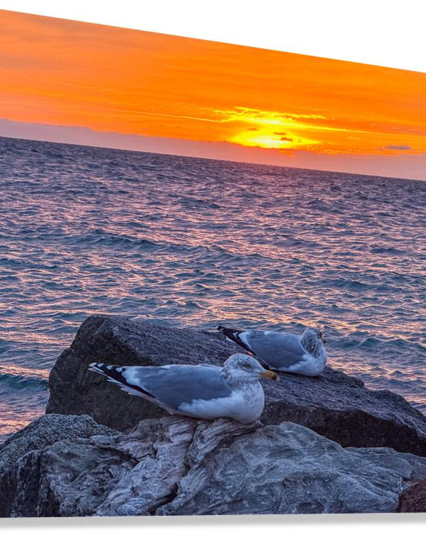 2519744 :: Giclée Stretched Canvas Print