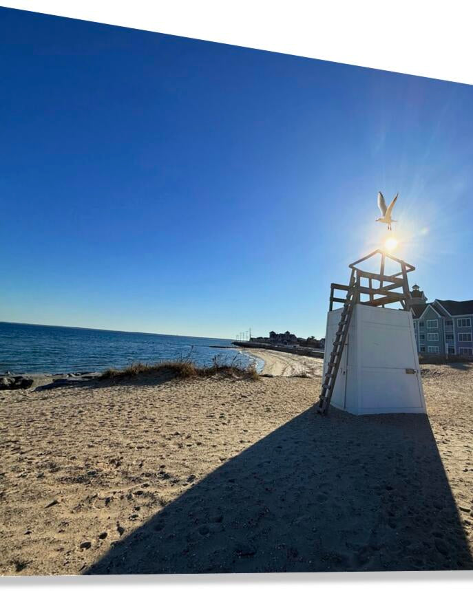 2519943 :: Giclée Stretched Canvas Print