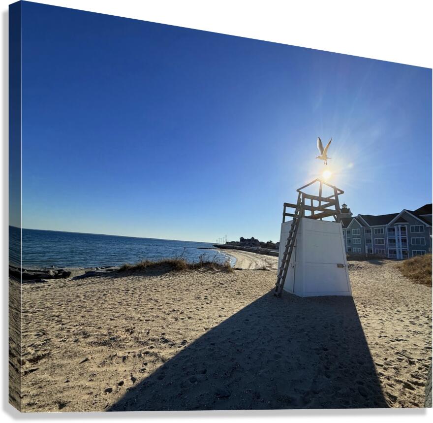 2519943 :: Giclée Stretched Canvas Print