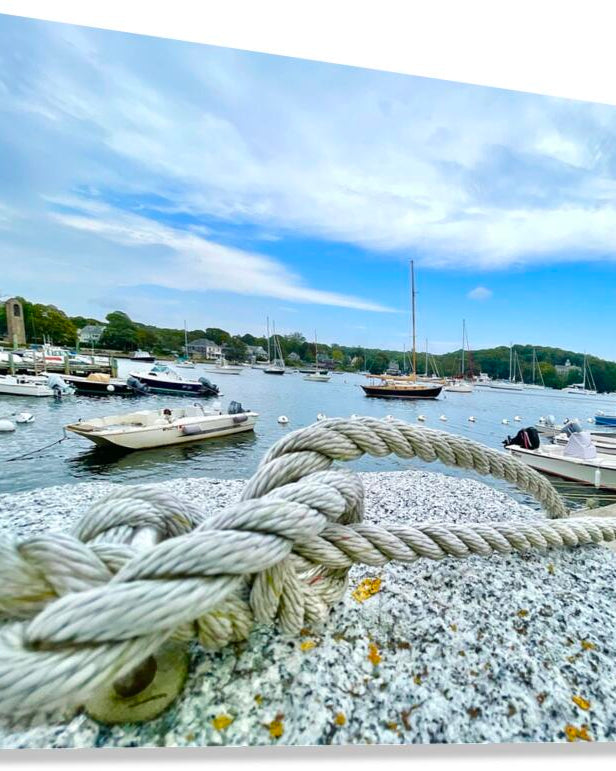 2519945 :: Giclée Stretched Canvas Print