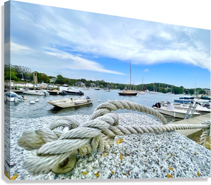 2519945 :: Giclée Stretched Canvas Print