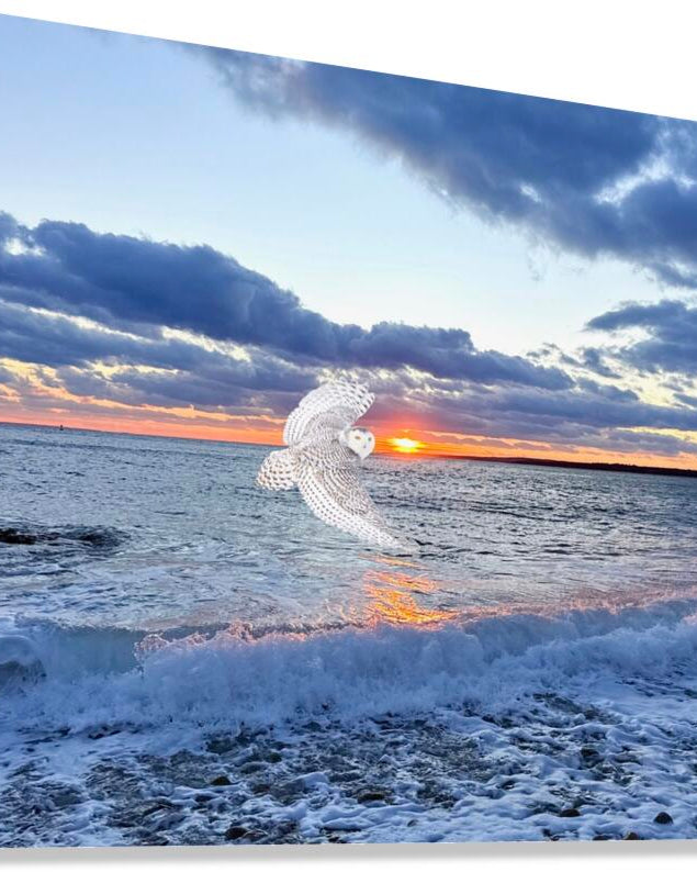 2521712 :: Giclée Stretched Canvas Print