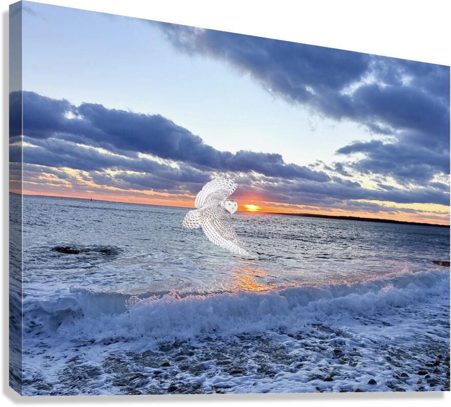 2521712 :: Giclée Stretched Canvas Print