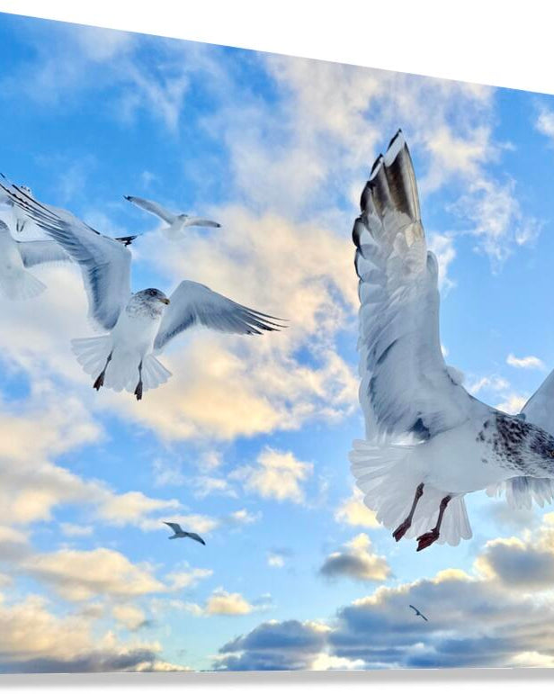 2521717 :: Giclée Stretched Canvas Print