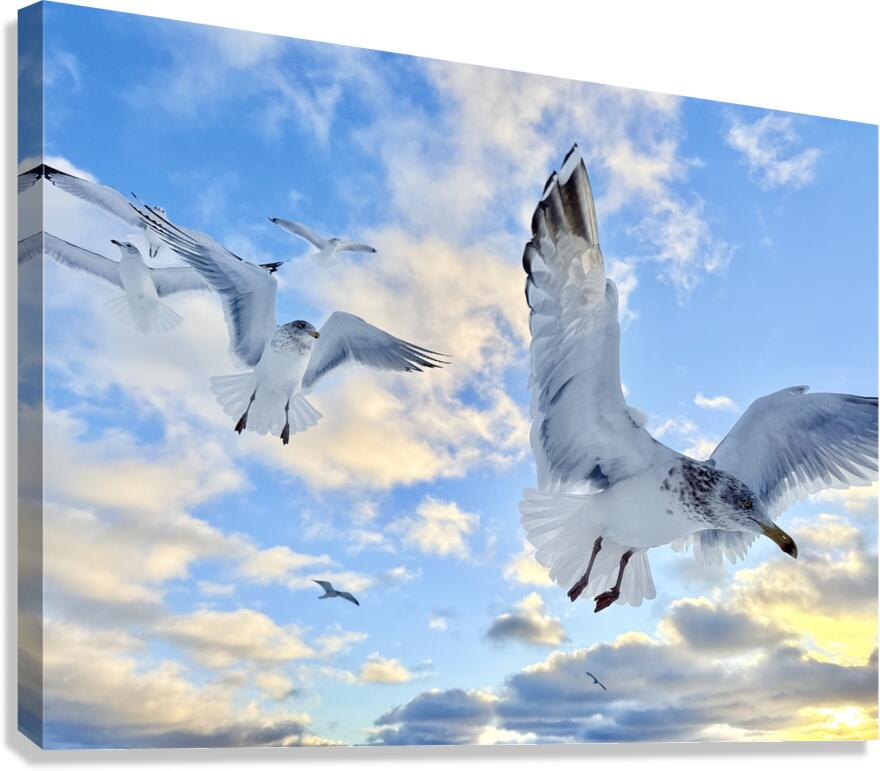 2521717 :: Giclée Stretched Canvas Print