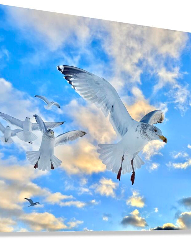 2522014 :: Giclée Stretched Canvas Print