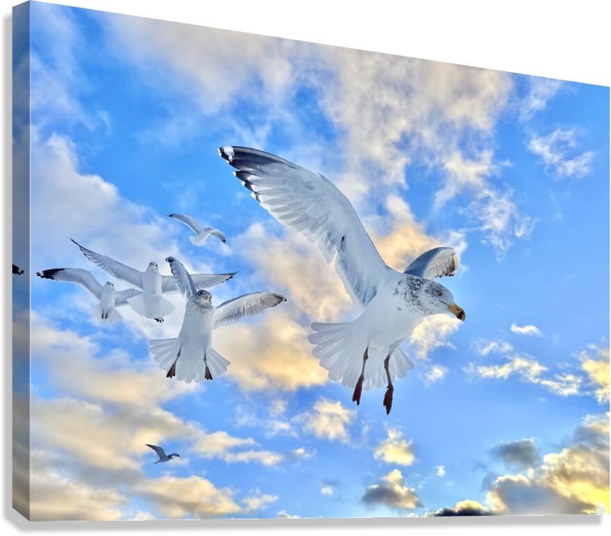 2522014 :: Giclée Stretched Canvas Print
