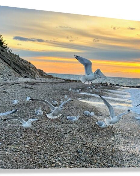 2528827 :: Giclée Stretched Canvas Print