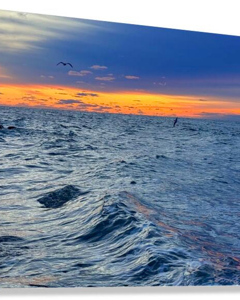 2529218 :: Giclée Stretched Canvas Print