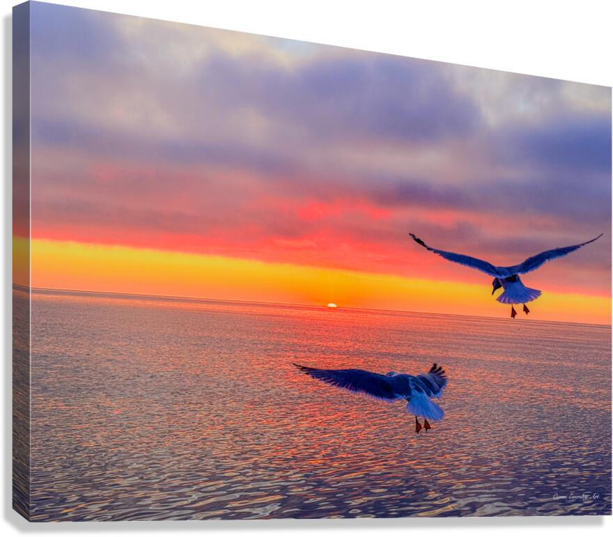 2536746 :: Giclée Stretched Canvas Print