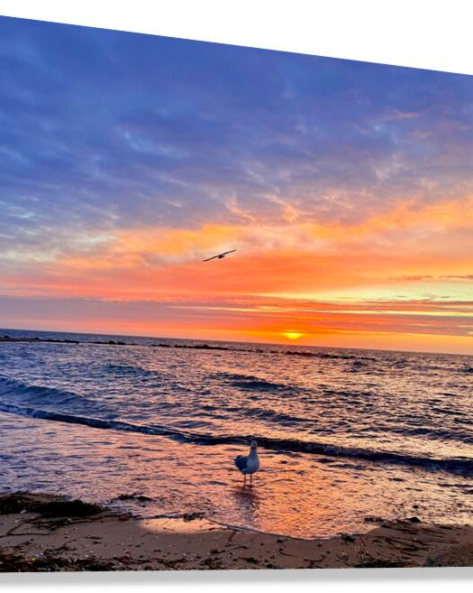 2540943 :: Giclée Stretched Canvas Print