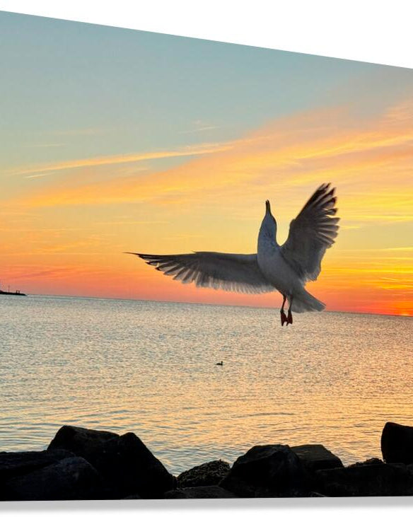 2552657 :: Giclée Stretched Canvas Print