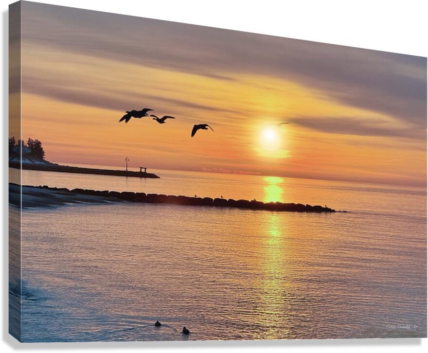 2603174 :: Giclée Stretched Canvas Print